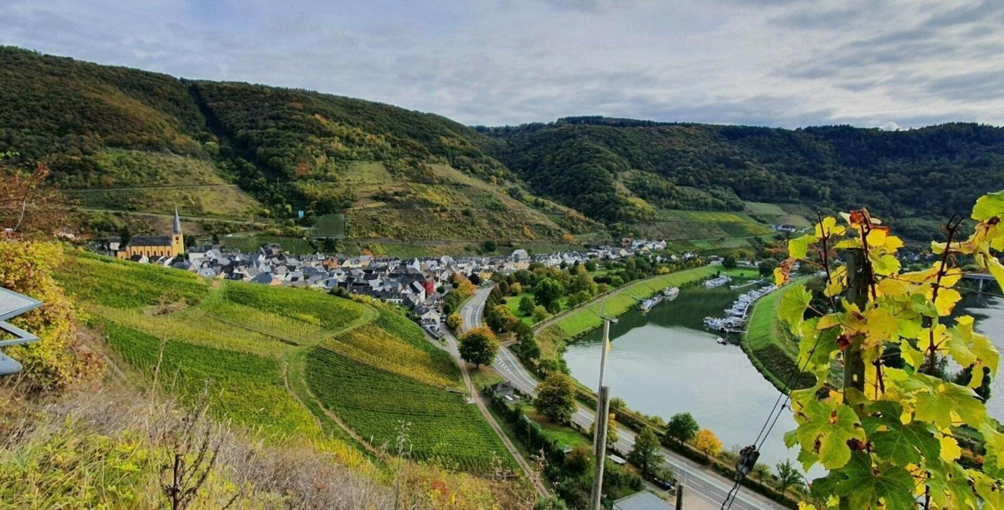 Ferienwohnung An Der Mosel, Romeo زينهايم المظهر الخارجي الصورة