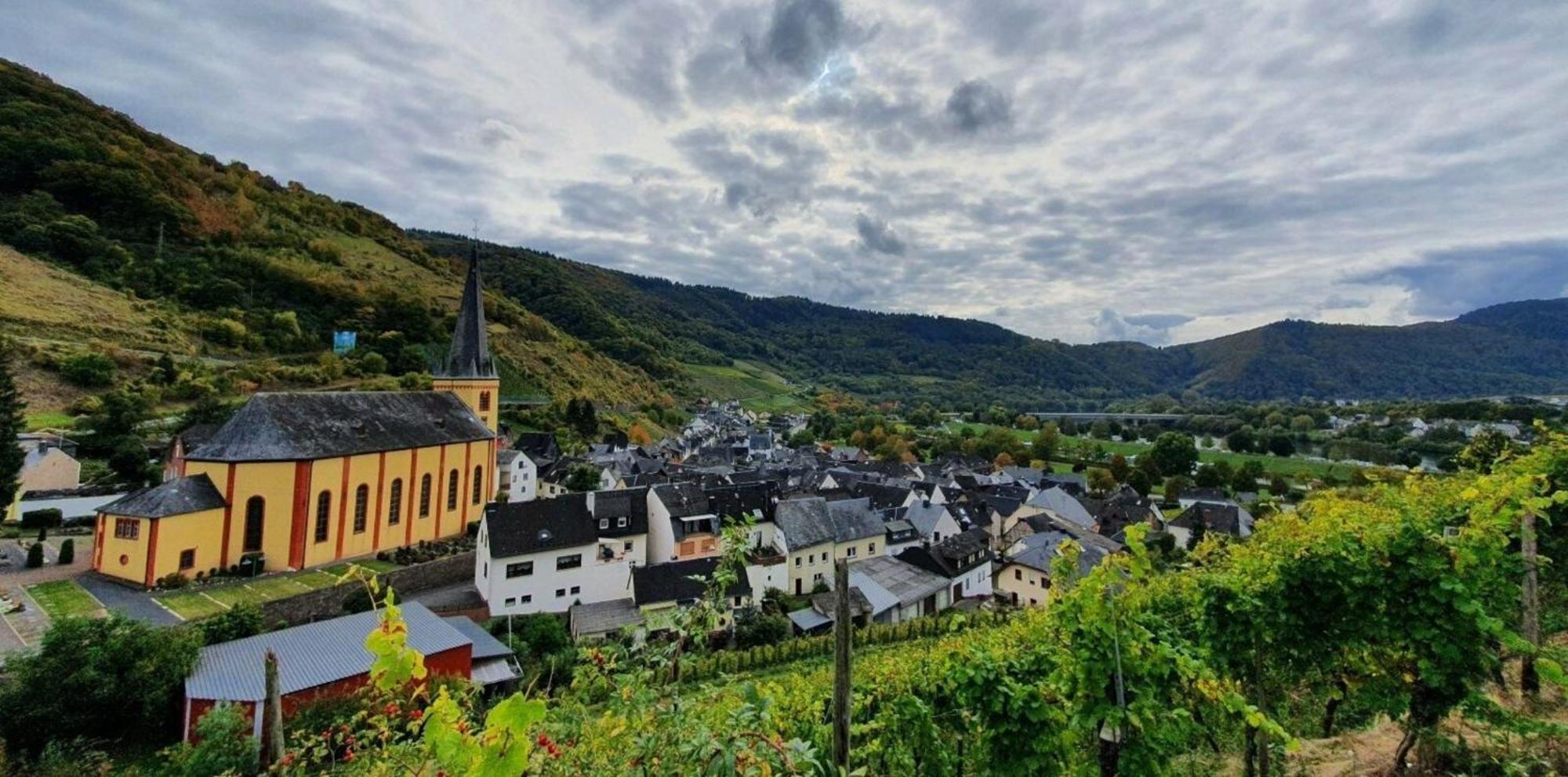 Ferienwohnung An Der Mosel, Romeo زينهايم المظهر الخارجي الصورة